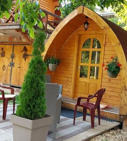 Vila Jelena - Bungalov Crni Vrh Exterior foto